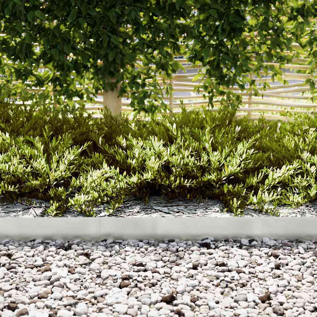 Vidaxl tuinrand 50 pcs zilver 100 x 0.05 x 20 cm roestvrij staal