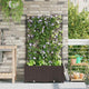 Vidaxl vaso da fiori da giardino 2 pezzi marrone 80 x 40 x 143 cm in acciaio