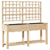 Vaso da fiori da giardino Vidaxxl beige 161 x 46 x 152,5 cm in legno di pino massiccio