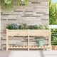 Vidaxl macetero de jardín beige 161,5 x 45 x 76,5 cm madera maciza de pino