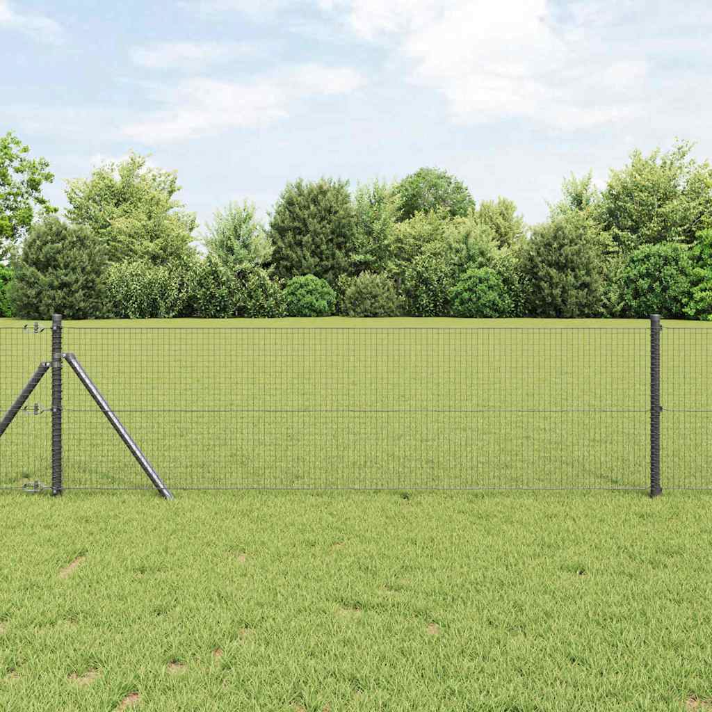 Valla de alambre soldado vidaxl gris 0,8 x 10 m