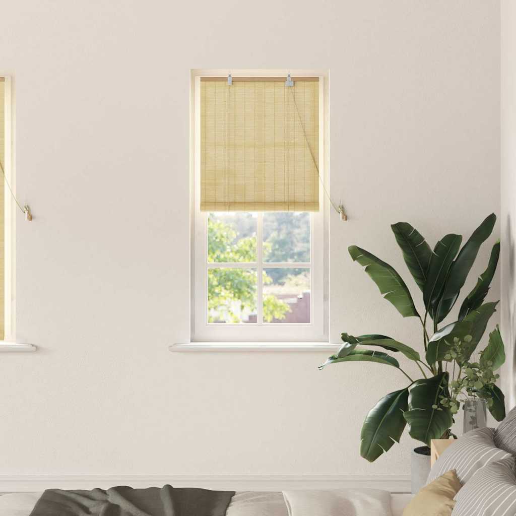 Vidaxxl estor enrollable con cortinas bambú natural 60 x 160 cm