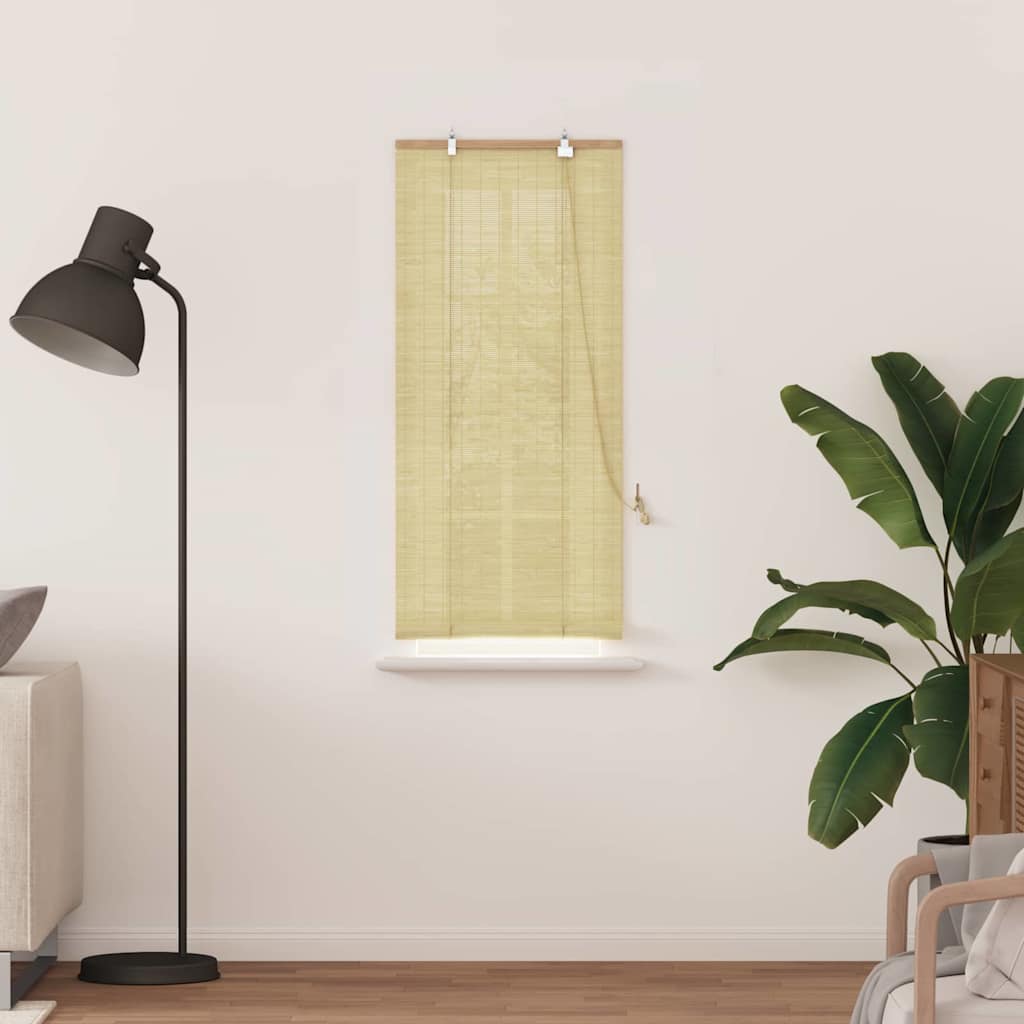 Vidaxxl estor enrollable con cortinas bambú natural 60 x 160 cm