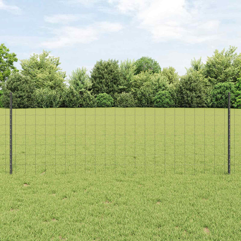 Vidaxl hek met paal grijs 0,8 x 10 m staal
