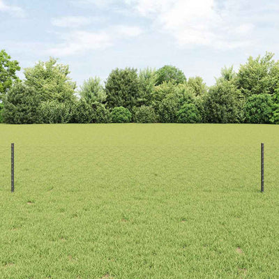 Recinzione Vidaxl con palo grigio 0,4 x 10 m in acciaio e PVC