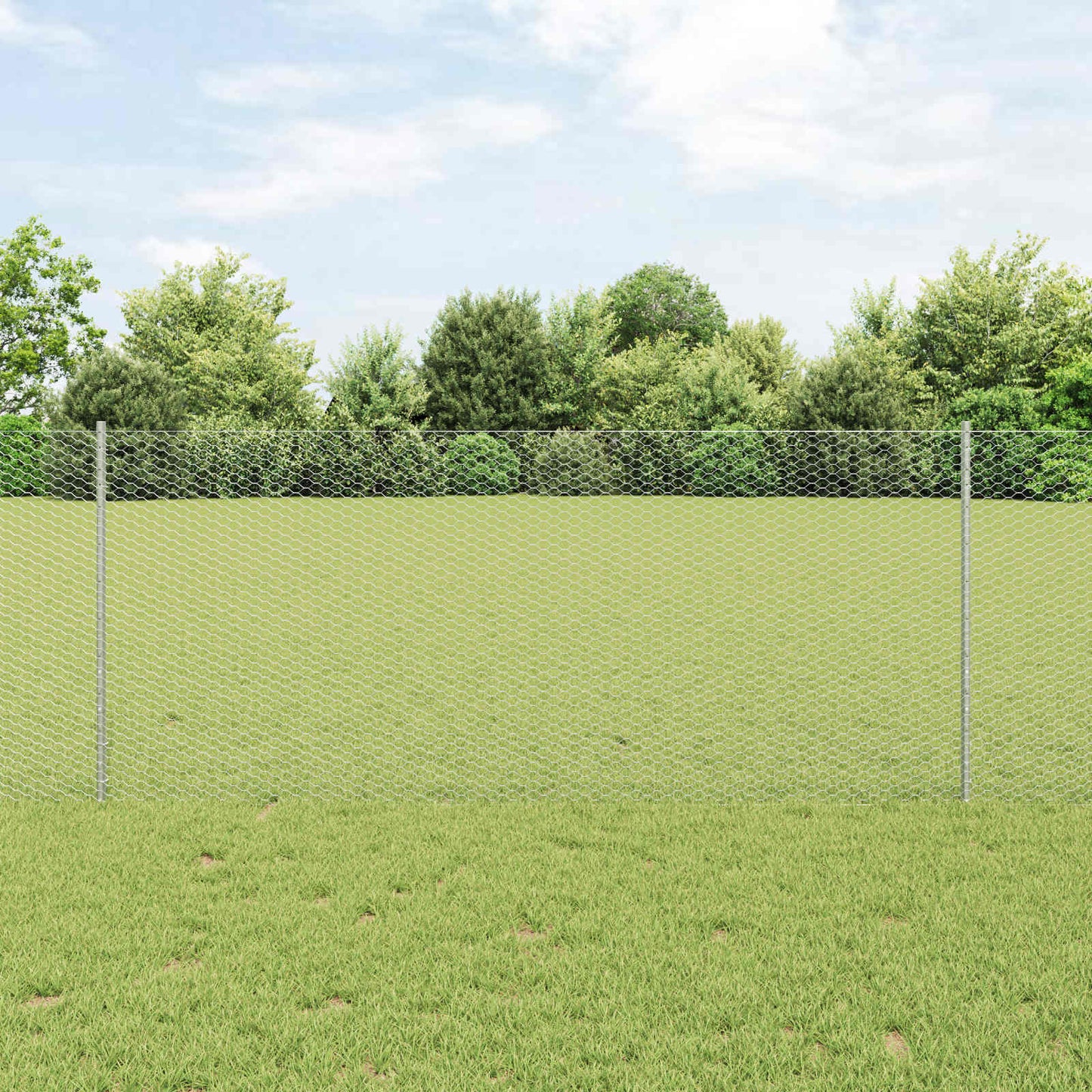 Recinzione Vidaxxl con palo argento 1 x 25 m in acciaio