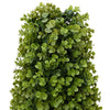 Vidaxx torre de hierba de eucalipto verde 27 x 27 x 90 cm plástico