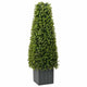 Vidaxx torre de hierba de eucalipto verde 27 x 27 x 90 cm plástico