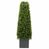 Vidaxx torre di erba di eucalipto verde 27 x 27 x 90 cm in plastica