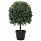 Vidaxl buxusbal groen 35 x 35 x 50 cm kunststof