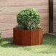 Jardinera vidaxl oxidada 60 x 60 x 35 cm acero corten