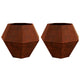 Vidaxl plantenbak 2 pcs roestig 100 x 100 x 80 cm cortenstaal