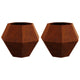 Vidaxl plantenbak 2 pcs roestig 75 x 75 x 60 cm cortenstaal