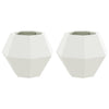 Vidaxx macetero 2 piezas blanco 50 x 50 x 40 cm acero