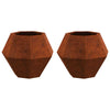 Vidaxl plantenbak 2 pcs roestig 50 x 50 x 40 cm cortenstaal