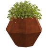 Vidaxl plantenbak 2 pcs roestig 50 x 50 x 40 cm cortenstaal
