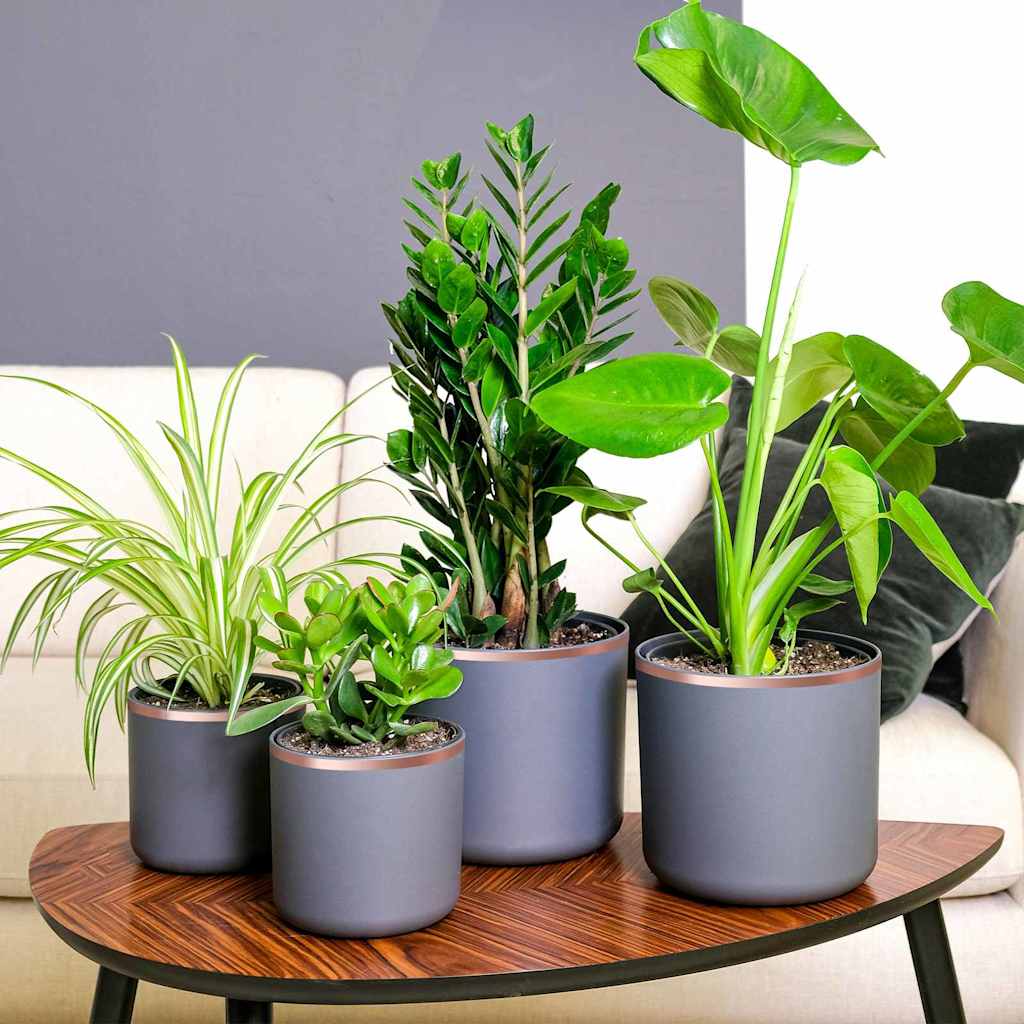 VidaXL nastro di rame 6 pezzi rame 2000 x 1 cm rame