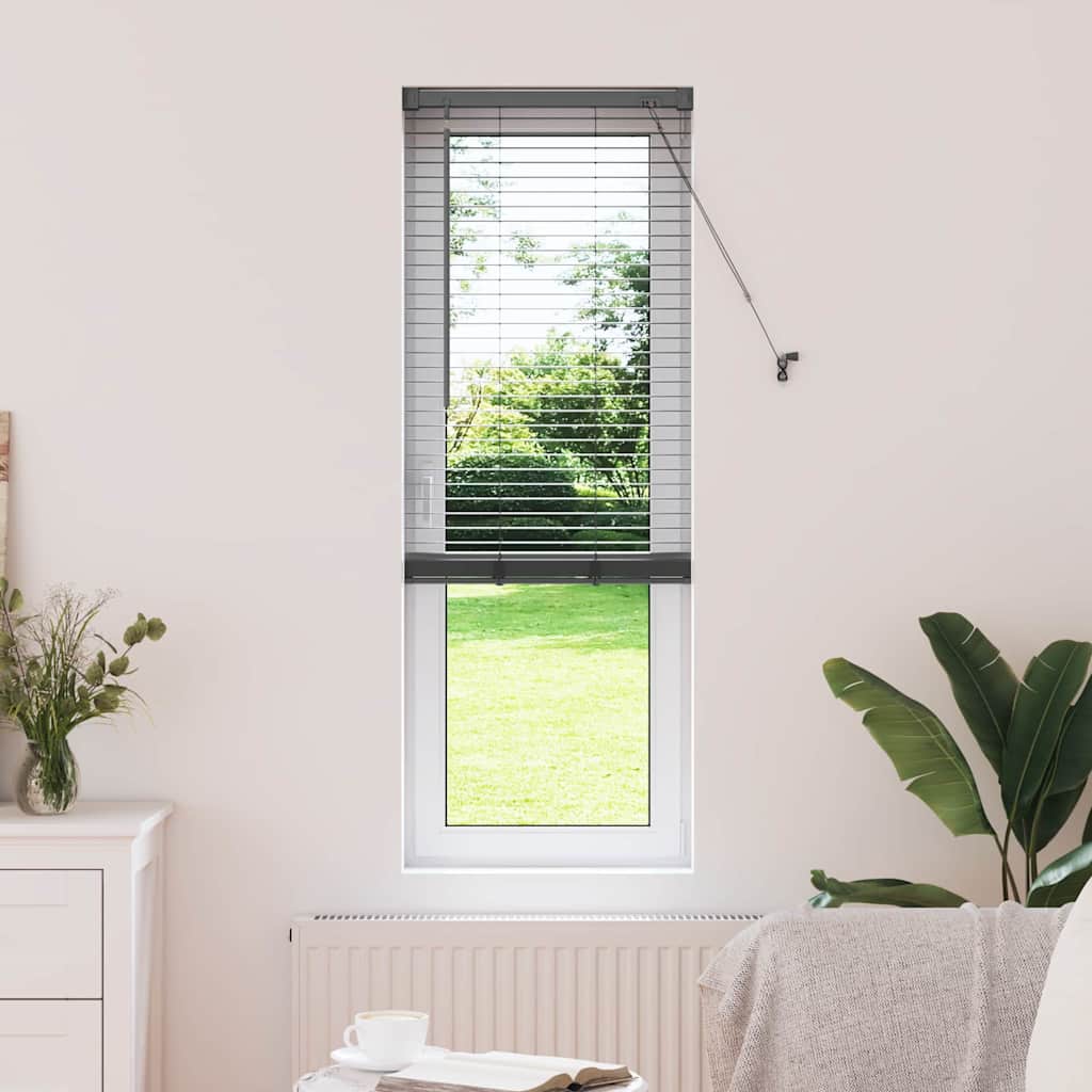 Veneziana Vidaxx grigio scuro 175 x 45 cm alluminio