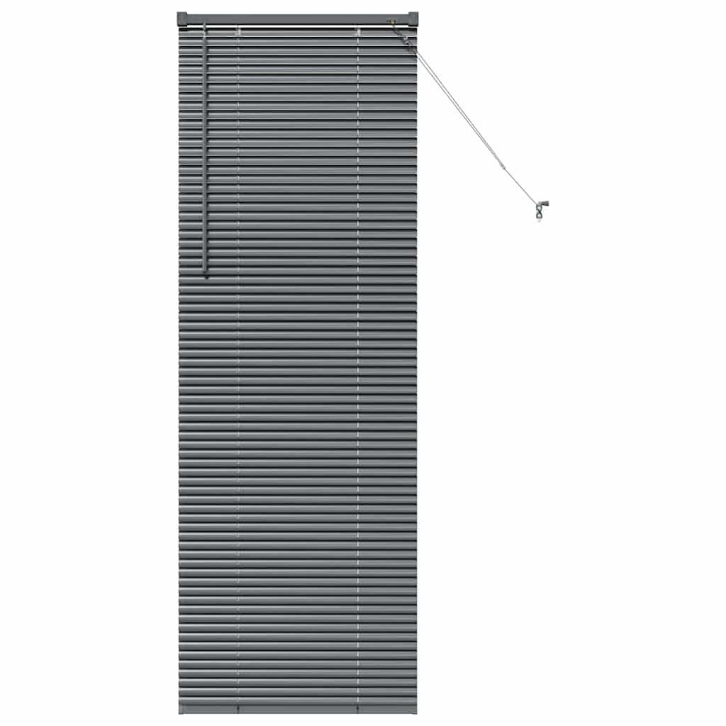 Veneziana Vidaxx grigio scuro 175 x 65 cm alluminio