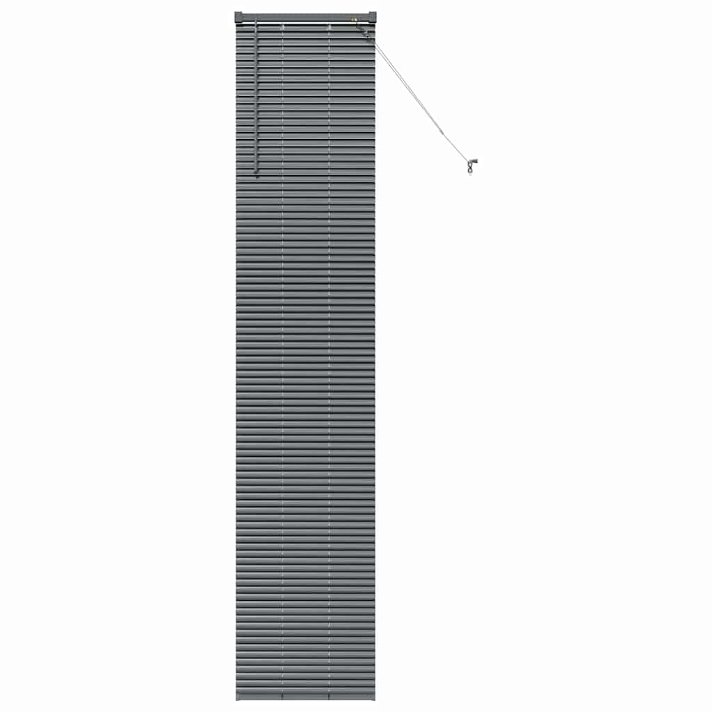 Veneziana Vidaxx grigio scuro 220 x 40 cm alluminio