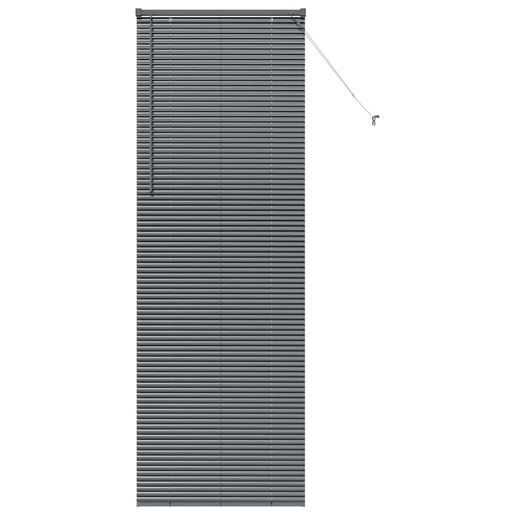 Veneziana Vidaxx grigio scuro 220 x 75 cm alluminio