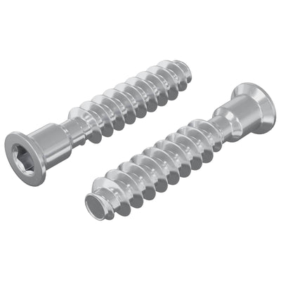 Vidaxx perno de tapa principal 2 piezas plata m7 x 40 mm acero