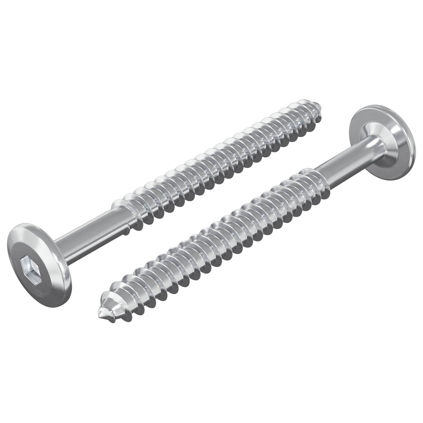 Vidaxl houten schroeven 2 pcs zilver m6 x 70 mm staal