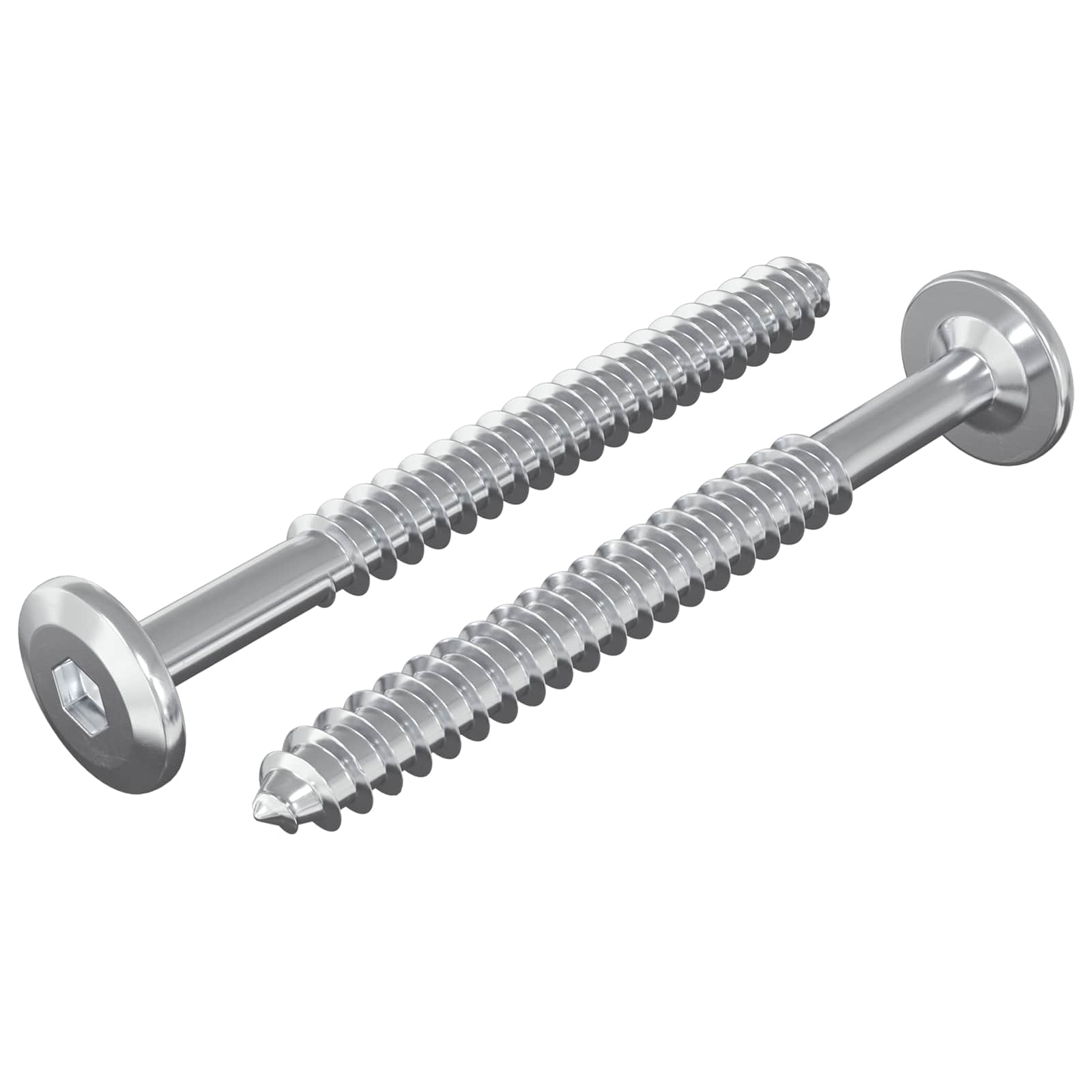 Vidaxl houten schroeven 2 pcs zilver m6 x 70 mm staal
