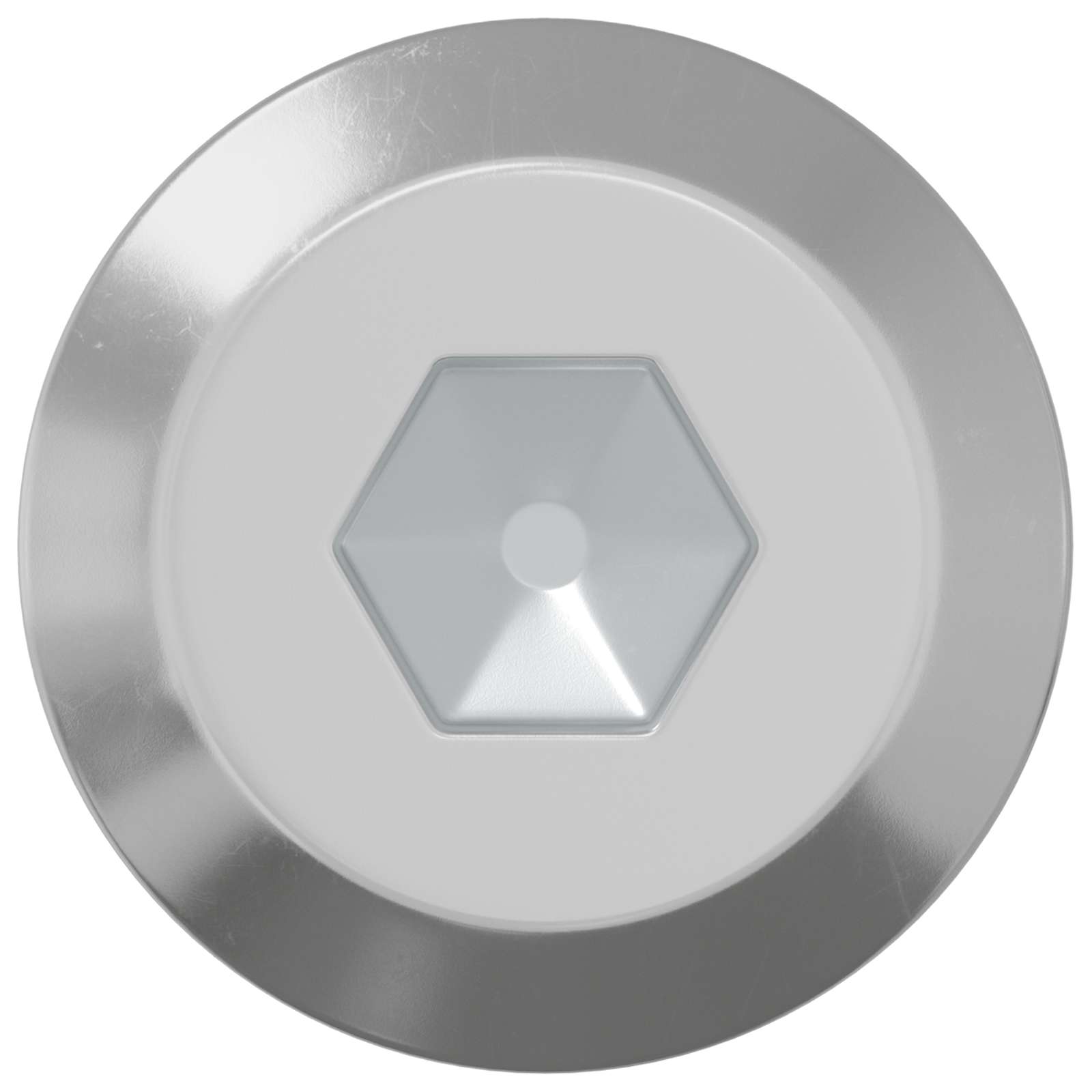 Vidaxl bout 1000 pcs zilver m6 x 100 mm staal