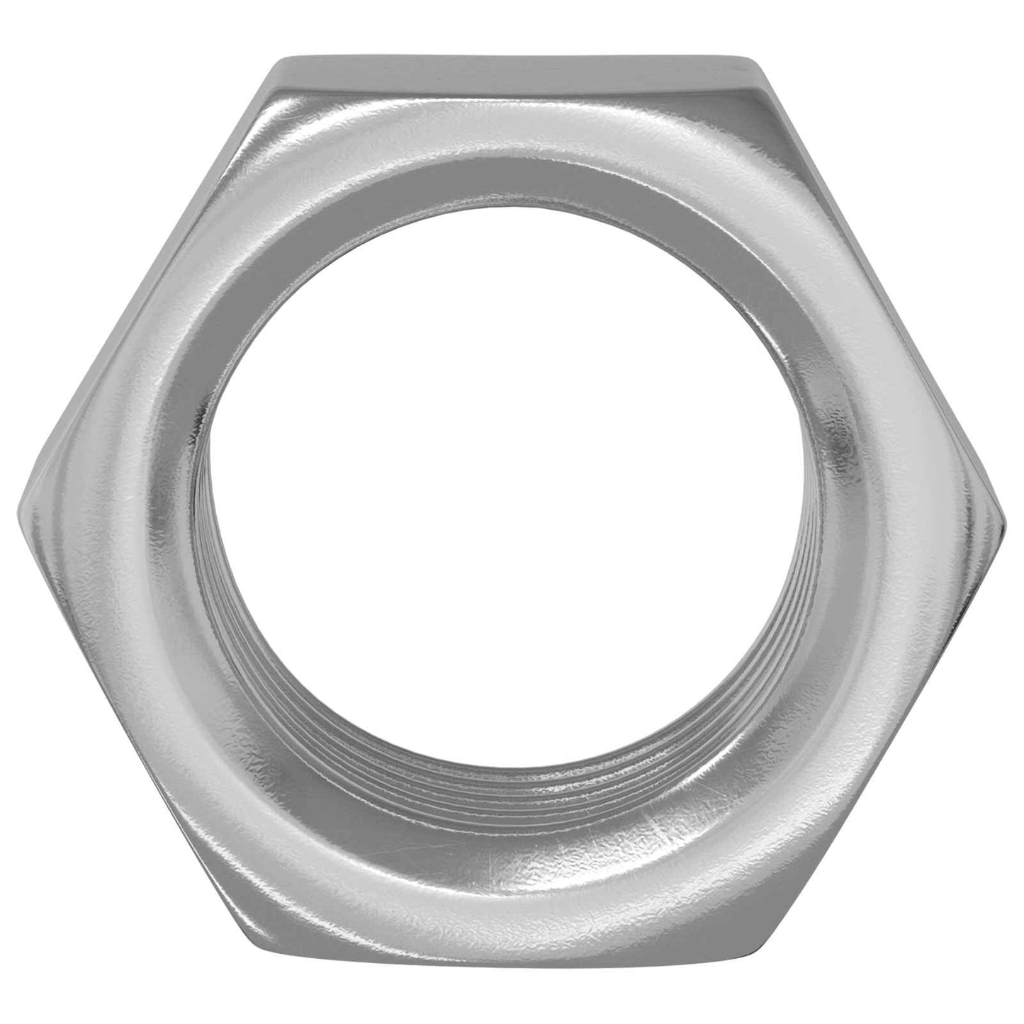Dadi esagonali Vidaxl 12 pz argento m6 ferro