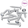 Vidaxl zelftappende nagel 12 pcs verzinkt 4 x 25 mm staal