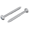 Vidaxl houten schroef 2 pcs zilver 9,8 x 53 mm staal