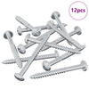 Vidaxl houten schroef 12 pcs zilver 9,8 x 53 mm staal