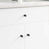 Vidaxl kastknoppen 2 pcs zwart m4 x 12 mm ijzer