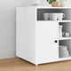 Vidaxl caster 2 pcs wit 42 x 11,5 x 29 mm ijzer