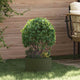 Vidaxxl aro para plantas verde oliva 30 x 30 x 20 cm acero laminado en frío