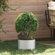Vidaxl plantenring zilver 30 x 30 x 20 cm gegalvaniseerd staal