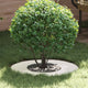 VidaXL apto para aro plano para árbol blanco ø30 60 cm acero