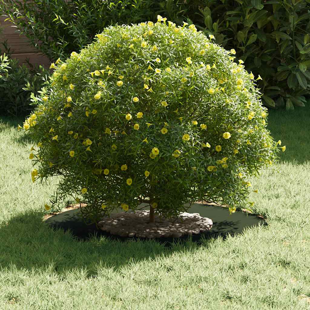VidaXL adecuado para anillos de árbol planos 5 piezas verde oliva ø30 60 cm