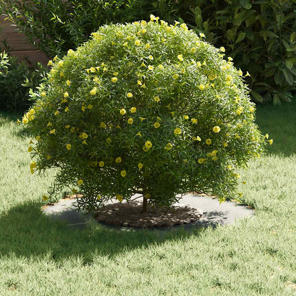 VidaXL adecuado para anillo de árbol plano plata ø30 60 cm