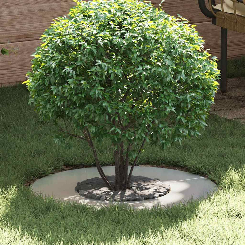 VidaXL adatto per anelli per alberi piatti 5 pz argento ø30 60 cm