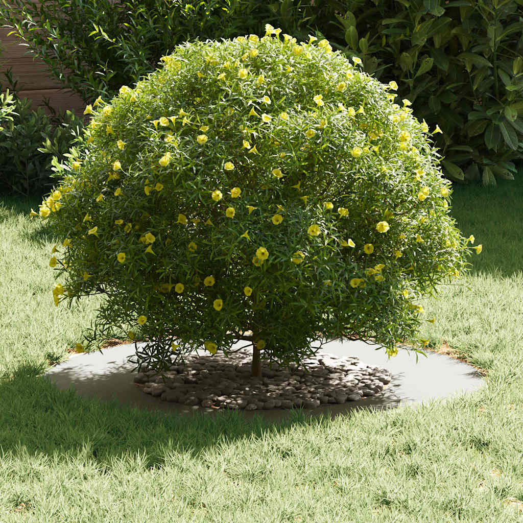 VidaXL apto para aro plano para árbol blanco ø40 70 cm acero