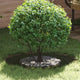 VidaXL adatto per anelli per alberi piatti 5 pz verde oliva ø40 70 cm