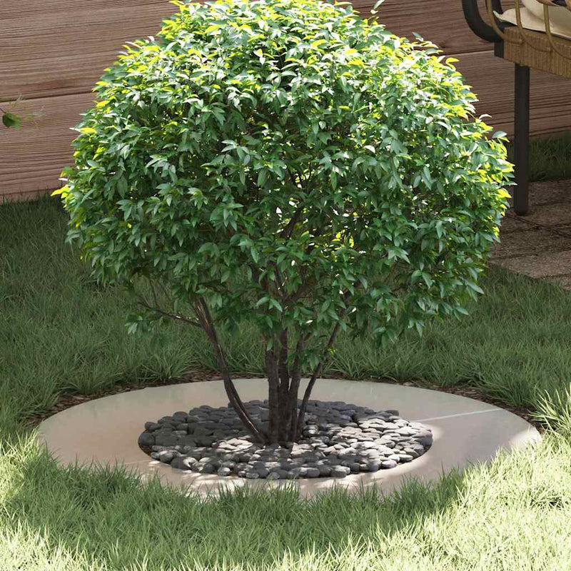 VidaXL adatto per anelli per alberi piatti 5 pz argento ø40 70 cm