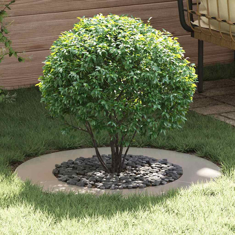 VidaXL adatto per anelli per alberi piatti 5 pz argento ø50 80 cm