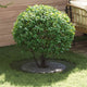 VidaXL adatto per anelli per alberi piatti 5 pz verde oliva ø60 90 cm