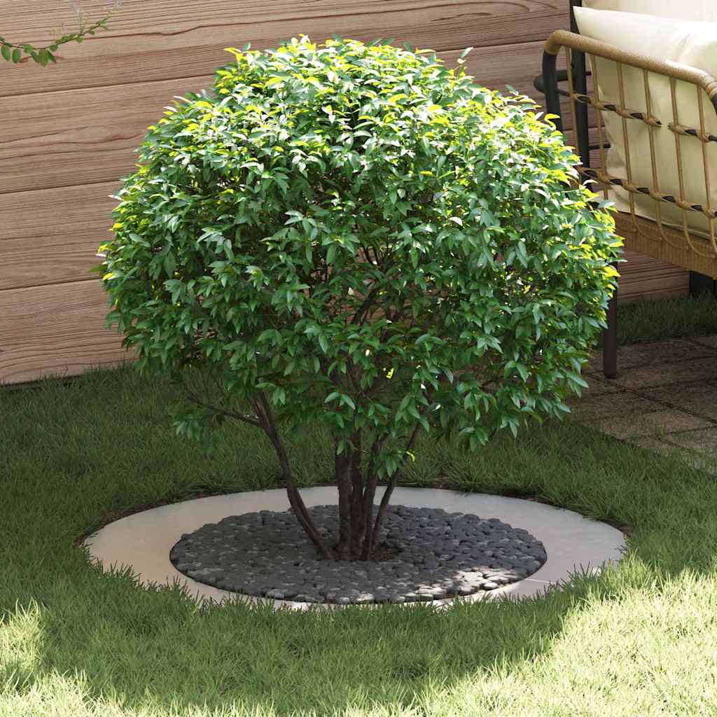 VidaXL adatto per anelli per alberi piatti 5 pz argento ø60 90 cm
