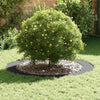 VidaXL adecuado para anillos de árbol planos 5 piezas antracita ø90 120 cm