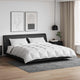 Vidaxl dekbed set met kussen 3 pcs wit donsveertjes
