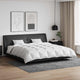 Vidaxl dekbed set met kussen 3 pcs wit donsveertjes